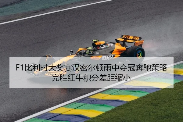 bi-li-shi-da-jiang-sai-han-mi-er-dun-yu-zhong-duo-guan-ben-chi-ce-lve-wan-sheng-hong-niu-ji-fen-cha-ju-suo-xiao-3-508.jpg